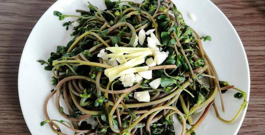 2 loại rau "trường sinh", ngày xưa đói kém mới ăn, nay là món ngon bổ dưỡng, kéo dài thanh xuân - Ảnh 6.