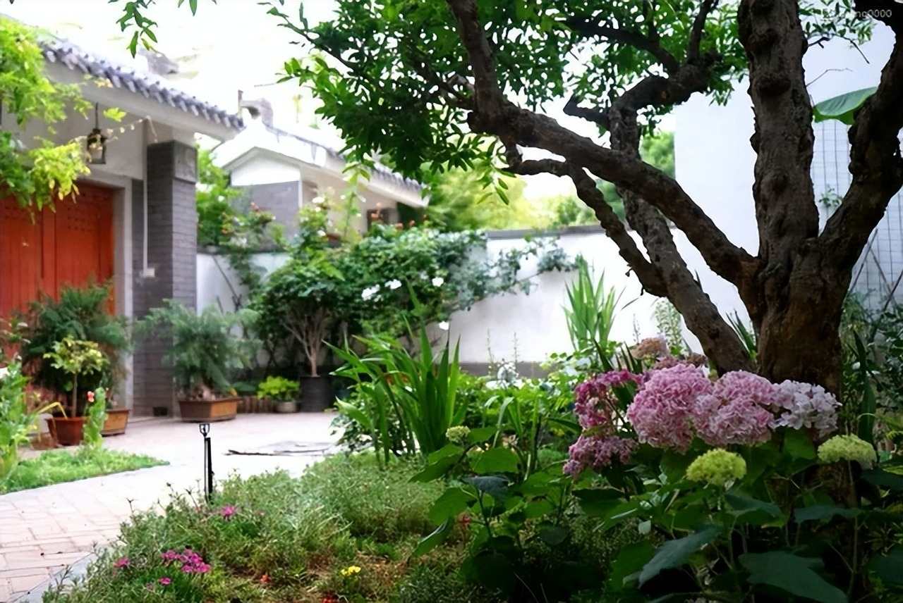 Nhà có sân, trồng ngay 6 cây cảnh này, 4 mùa đẹp như tranh vẽ, gia đình thịnh vượng, may mắn - Ảnh 1.