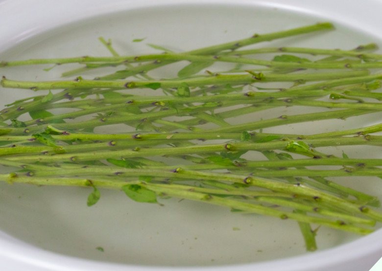 Loại lá có canxi cao hơn sữa nhưng ít người biết ăn, nấu chung với gan lợn được món đại bổ - Ảnh 6.