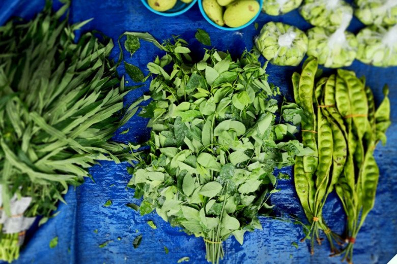 Cây này trồng chỉ lấy lá, vitamin C gấp 45 lần rau thường, nấu với trứng rất ngon, quét sạch “rác” trong ngũ tạng - Ảnh 1.