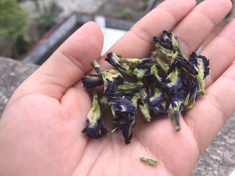 Hoa mọc bờ rào được ví như “phẩm màu” tự nhiên, giá 1 triệu đồng/kg, mua về nấu nhớ 3 điều kẻo hại thân - Ảnh 3.