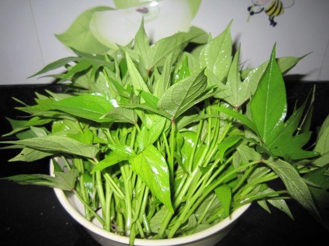 Loại rau nhiều người chỉ thích ăn cọng nhưng lá mới là "kho báu", làm sạch ruột, tẩy rửa mạch máu - Ảnh 2. Loại rau nhiều người chỉ thích ăn cọng nhưng lá mới là "kho báu", làm sạch ruột, tẩy rửa mạch máu - Ảnh 2.