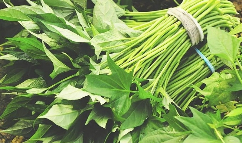Loại rau nhiều người chỉ thích ăn cọng nhưng lá mới là "kho báu", làm sạch ruột, tẩy rửa mạch máu - Ảnh 3. Loại rau nhiều người chỉ thích ăn cọng nhưng lá mới là "kho báu", làm sạch ruột, tẩy rửa mạch máu - Ảnh 3.