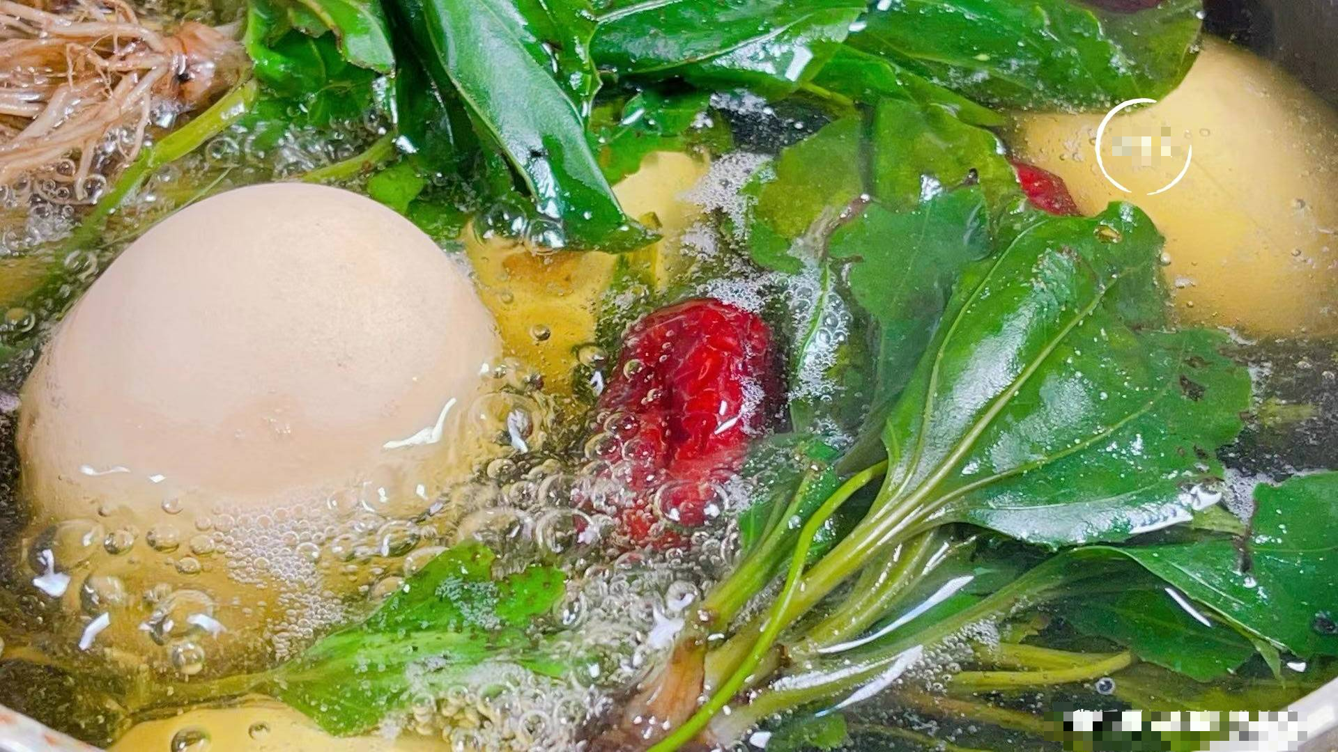 Loại rau dại mọc khắp nơi hóa ra là vị thuốc quý, lợi tiểu, lợi mật, chữa ho, chế biến kiểu gì cũng ngon - Ảnh 7.