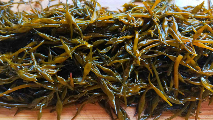 Loại rau "trường sinh" của người Nhật, nhuận tràng, dưỡng huyết, bổ sung canxi gấp 12 lần sữa, hầm thịt ăn rất ngon - Ảnh 2. Loại rau "trường sinh" của người Nhật, nhuận tràng, dưỡng huyết, bổ sung canxi gấp 12 lần sữa, hầm thịt ăn rất ngon - Ảnh 2.