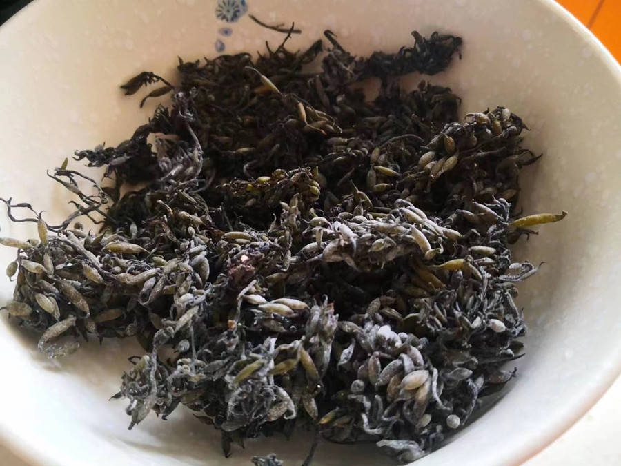 Loại rau "trường sinh" của người Nhật, nhuận tràng, dưỡng huyết, bổ sung canxi gấp 12 lần sữa, hầm thịt ăn rất ngon - Ảnh 3. Loại rau "trường sinh" của người Nhật, nhuận tràng, dưỡng huyết, bổ sung canxi gấp 12 lần sữa, hầm thịt ăn rất ngon - Ảnh 3.