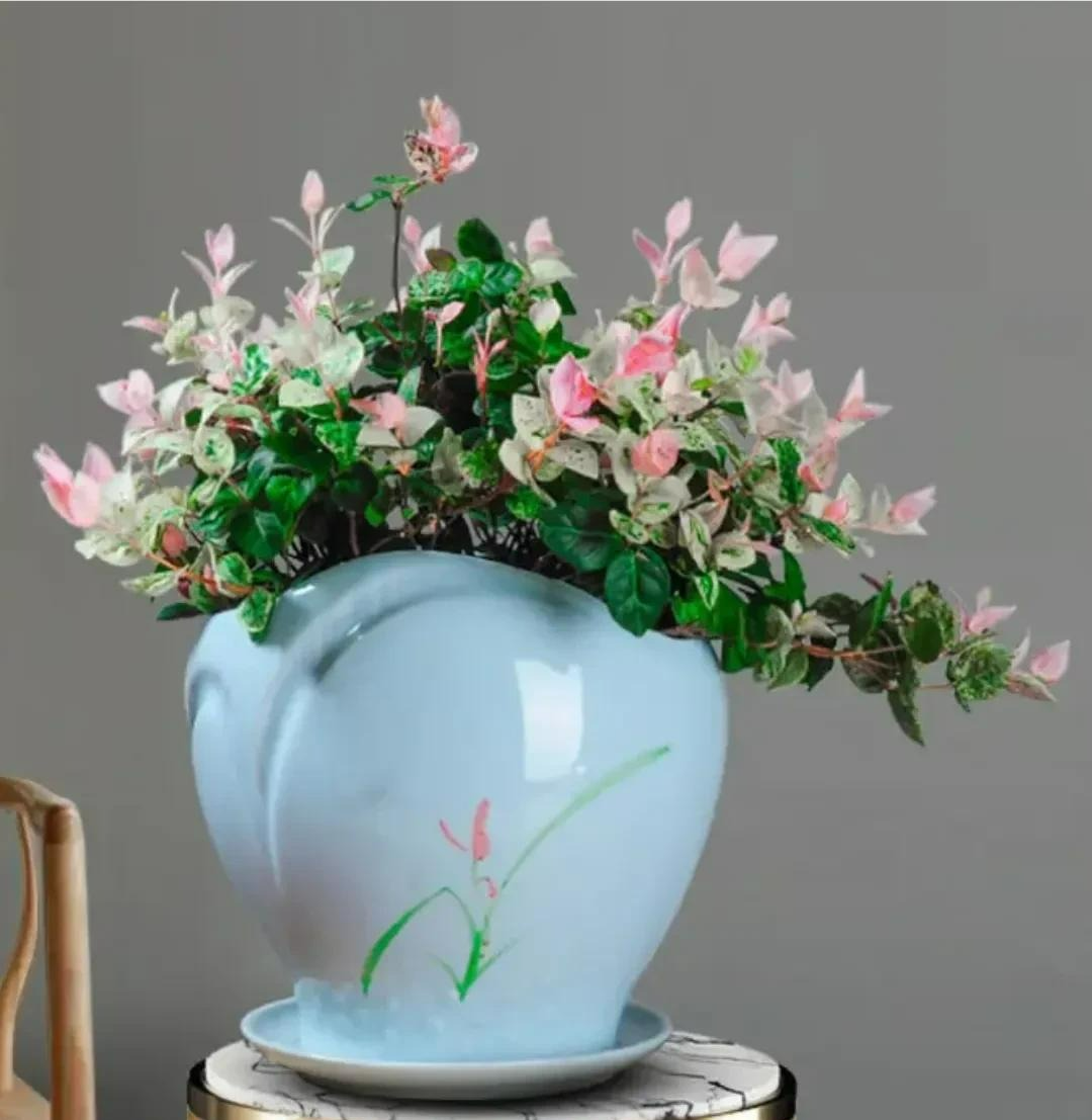 5 cây cảnh lá màu "bảy sắc cầu vồng", đặt 1 chậu trong nhà không cần hoa cũng rực rỡ, tỏa sáng - Ảnh 11.