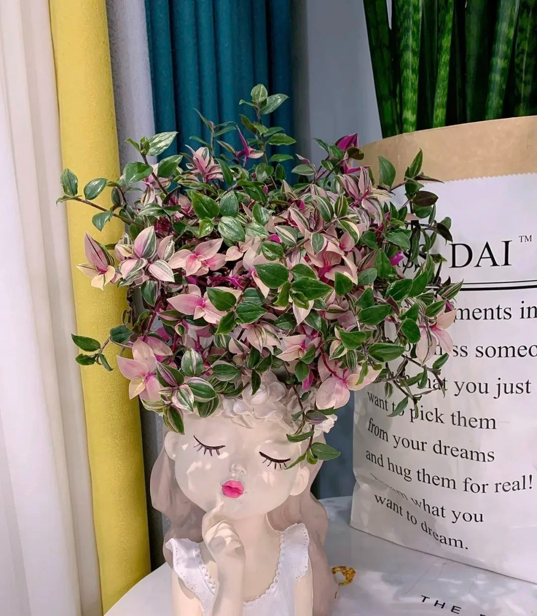 Mùa hè, trồng ngay 5 cây cảnh "rèm cửa", mới lạ, đẹp mắt, xanh tươi, mát rượi, càng nhìn càng thích - Ảnh 11.