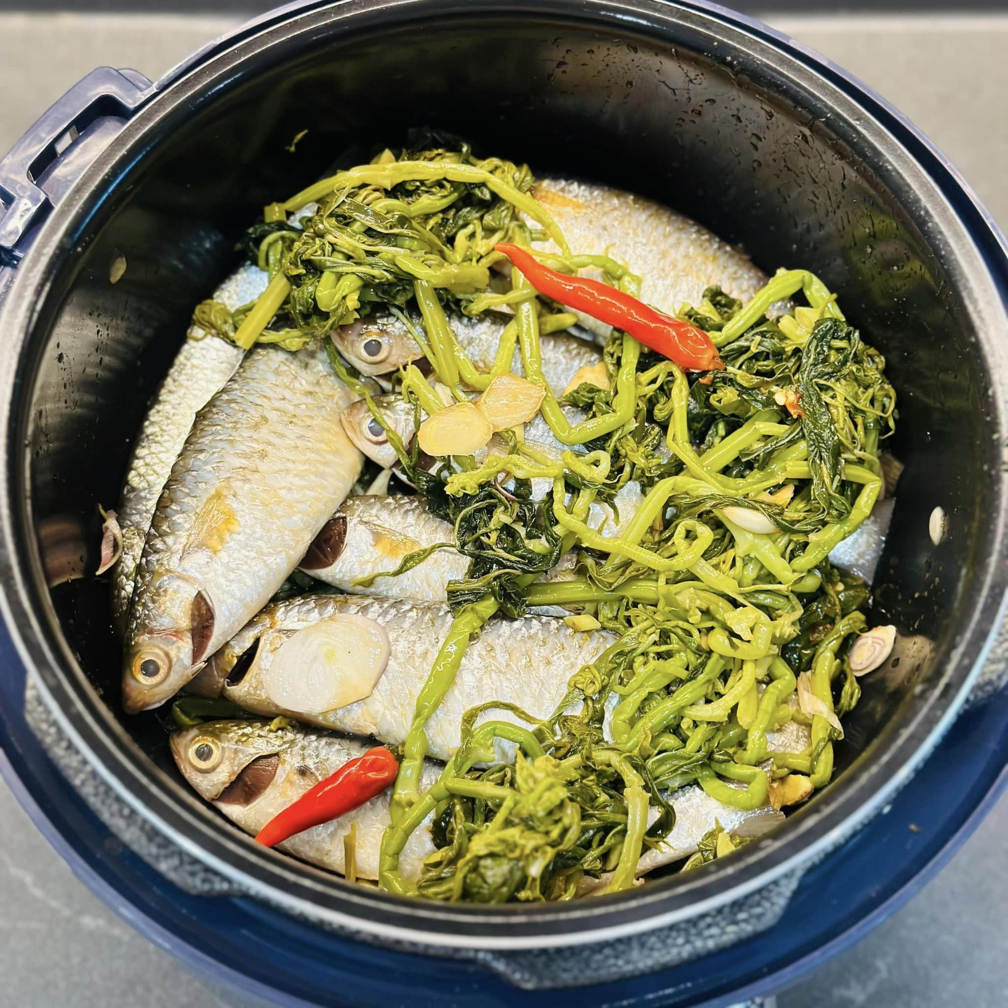 Cá đối kho với loại rau này, đảm bảo ngon nhức nách. - Ảnh 3. Cá đối kho với loại rau này, đảm bảo ngon nhức nách. - Ảnh 3.