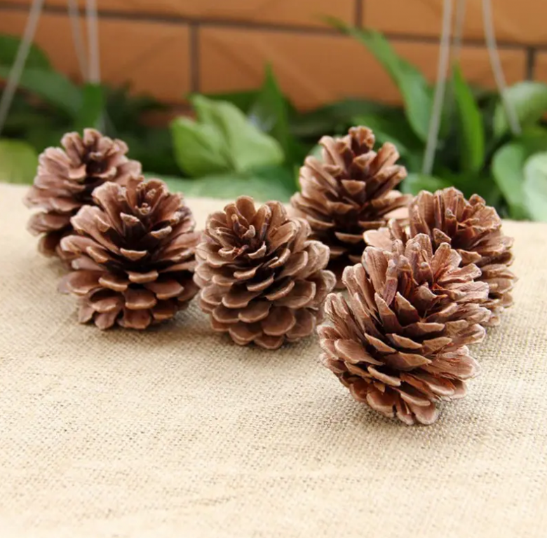 5 loại rác lặt vặt ven đường chẳng ai thèm, nhưng nhặt về trồng hoa lại là “bảo bối” - Ảnh 4.