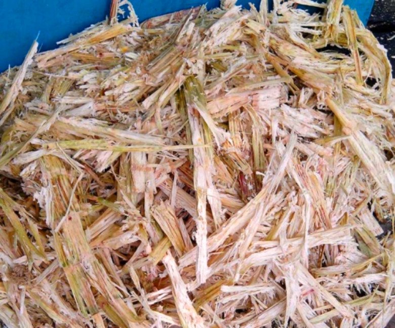 5 loại rác lặt vặt ven đường chẳng ai thèm, nhưng nhặt về trồng hoa lại là “bảo bối” - Ảnh 2.