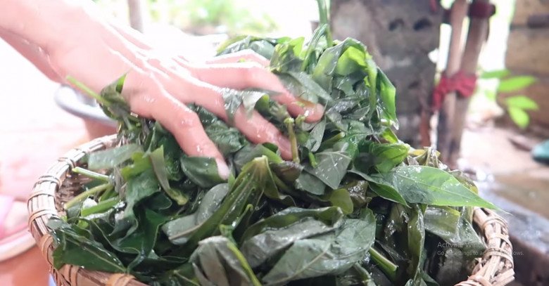 Cứ tưởng trồng chỉ để lấy củ ai ngờ lá của cây này cực ngon, nấu chung với con giàu đạm được món bổ từ - Ảnh 2.