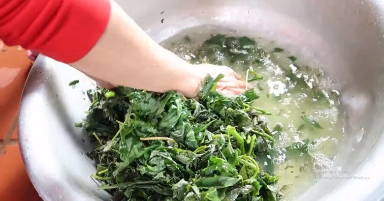 Cứ tưởng trồng chỉ để lấy củ ai ngờ lá của cây này cực ngon, nấu chung với con giàu đạm được món bổ từ - Ảnh 3.