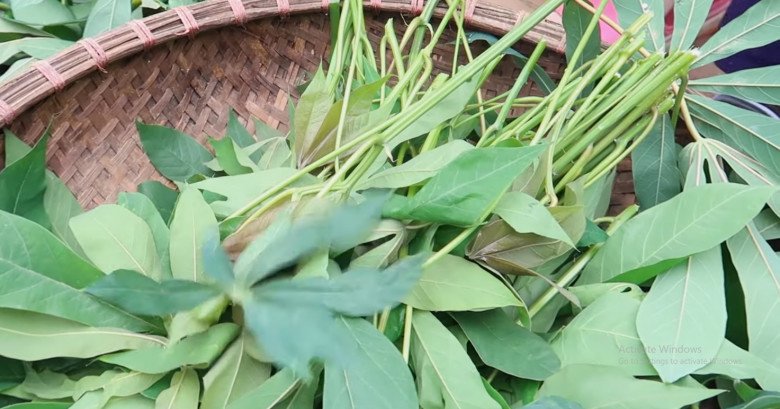 Cứ tưởng trồng chỉ để lấy củ ai ngờ lá của cây này cực ngon, nấu chung với con giàu đạm được món bổ từ - Ảnh 1.