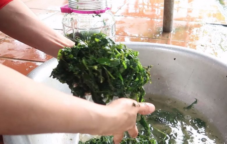 Cứ tưởng trồng chỉ để lấy củ ai ngờ lá của cây này cực ngon, nấu chung với con giàu đạm được món bổ từ - Ảnh 5.