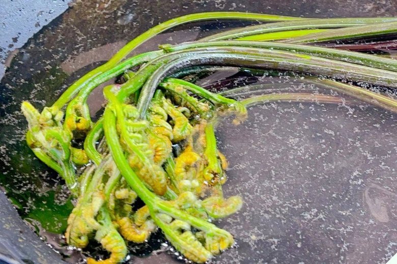 Loại cây có ngọn cong như con tôm được ví là “rau trường thọ”, Việt Nam có đầy mà ít người biết ăn - Ảnh 3.