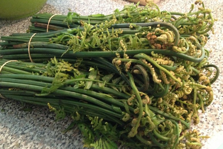 Loại cây có ngọn cong như con tôm được ví là “rau trường thọ”, Việt Nam có đầy mà ít người biết ăn - Ảnh 2.