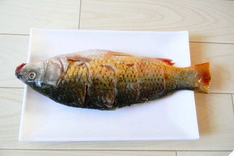 Loại cá được ví như sâm nước, mua về nấu kiểu này lạ nhưng rất ngon, ăn đã cái miệng - Ảnh 5. Loại cá được ví như sâm nước, mua về nấu kiểu này lạ nhưng rất ngon, ăn đã cái miệng - Ảnh 5.