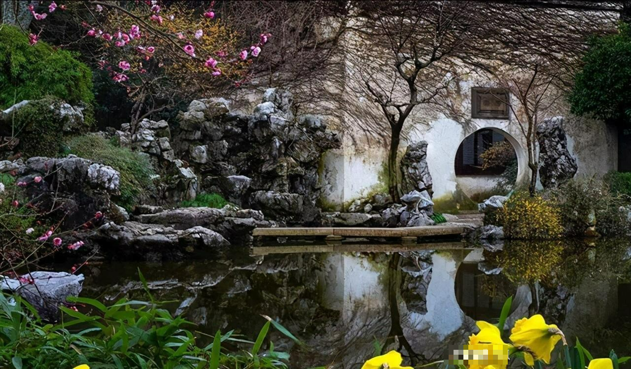 Đại gia thích trồng 4 cây cảnh vượng tài, rực rỡ, sang chảnh, tuổi thọ trăm năm, ba đời phú quý - Ảnh 1.