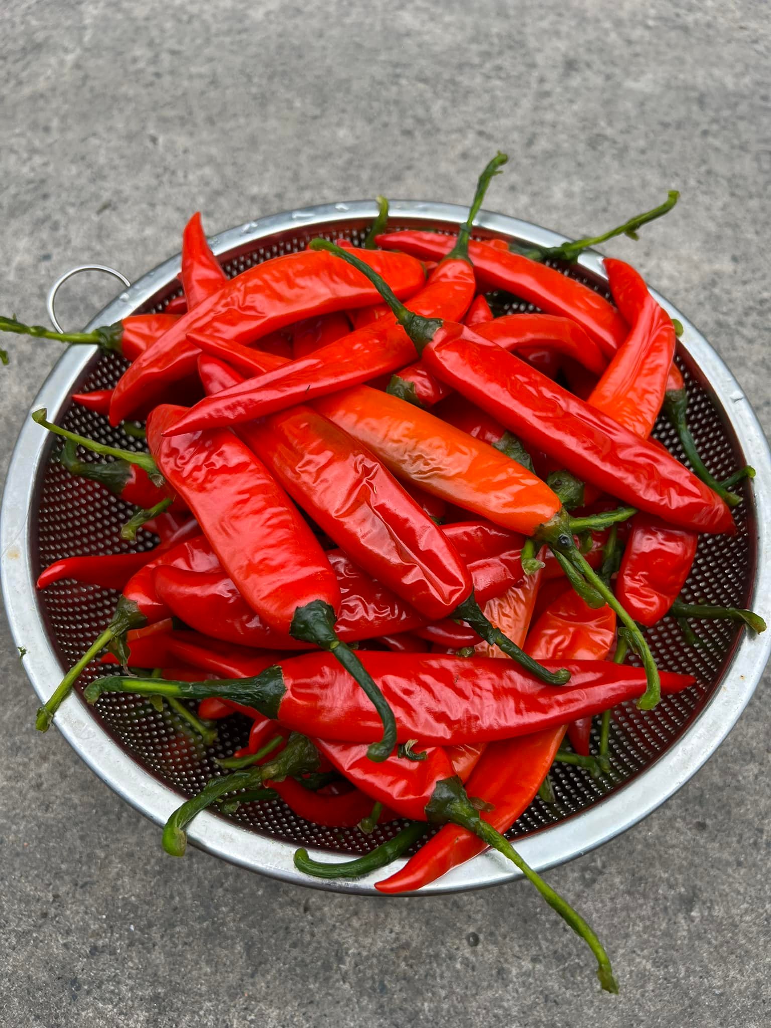 Loại quả màu đỏ cay nồng đem rim lên thơm lừng ăn kèm món gì cũng ngon - Ảnh 4.