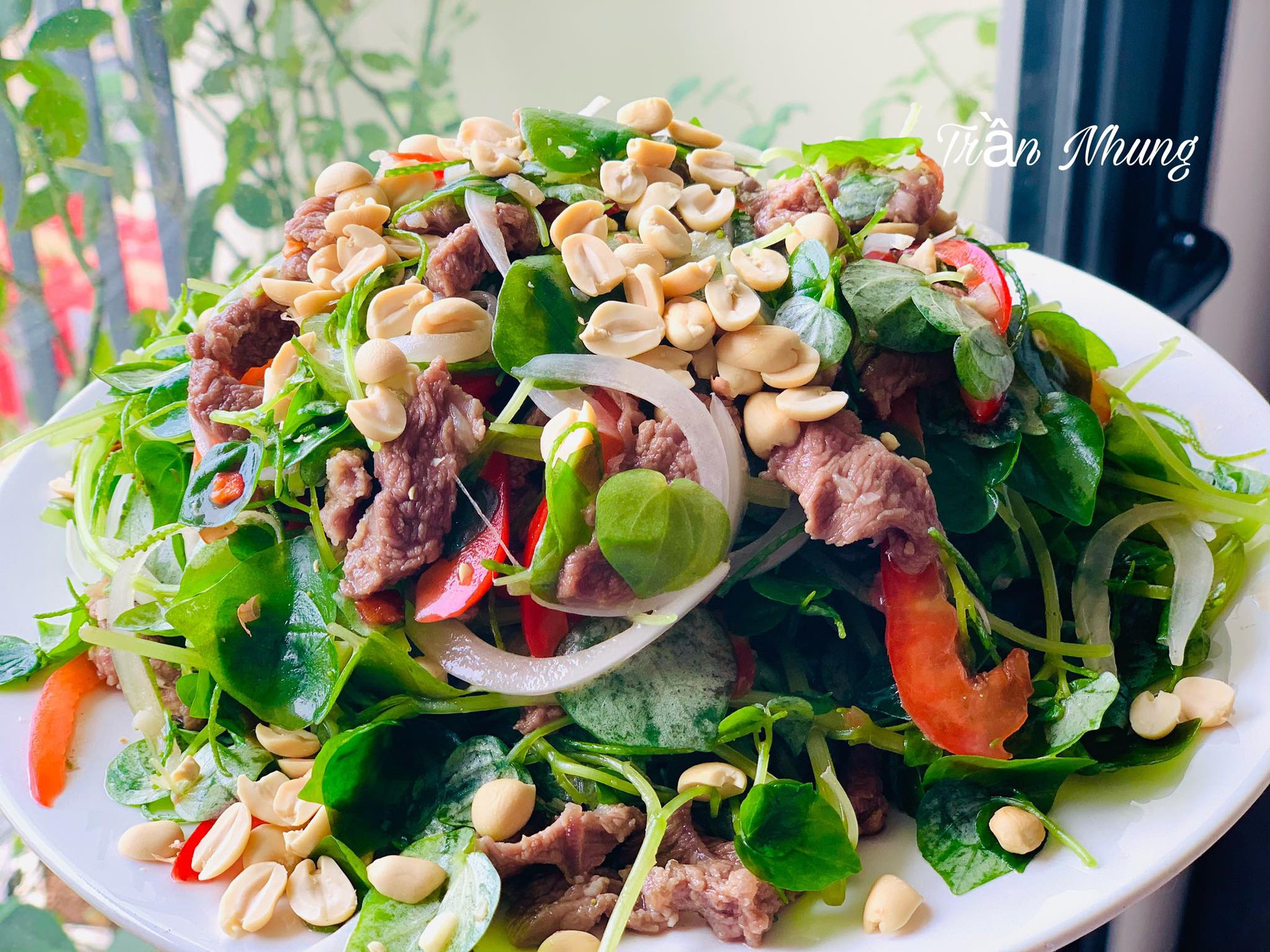 Loại rau mọc ở vách tường đem làm gỏi vừa thanh mát vừa ngon - Ảnh 2.