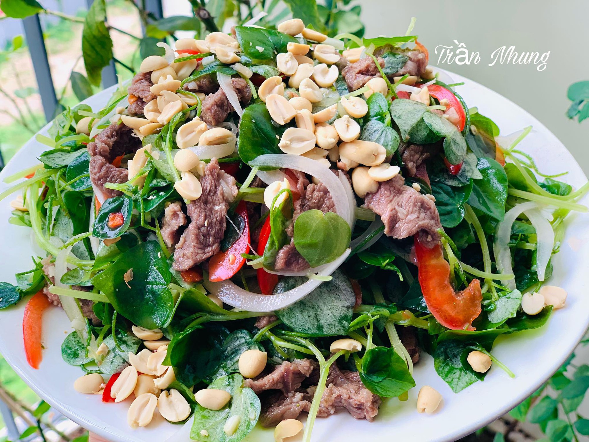 Loại rau mọc ở vách tường đem làm gỏi vừa thanh mát vừa ngon - Ảnh 3.