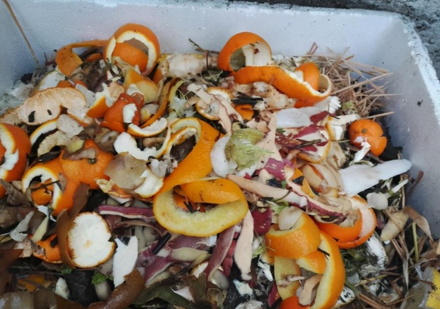 2 "bảo bối" trồng cây cảnh chế từ vỏ cam, vỏ chuối, tưới vài lần hoa nở vỡ chậu - Ảnh 8.