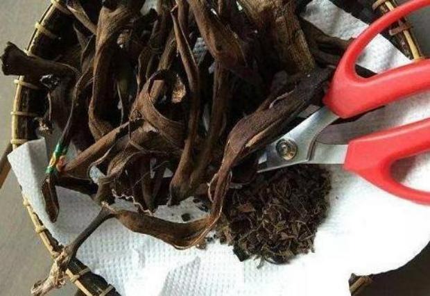 2 "bảo bối" trồng cây cảnh chế từ vỏ cam, vỏ chuối, tưới vài lần hoa nở vỡ chậu - Ảnh 6.