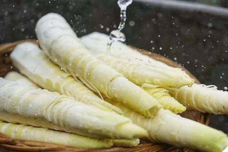 Củ này sau mưa mọc lên như nấm, nấu chung với thịt ba chỉ được món ngon, ăn một lần nhớ mãi - Ảnh 2.