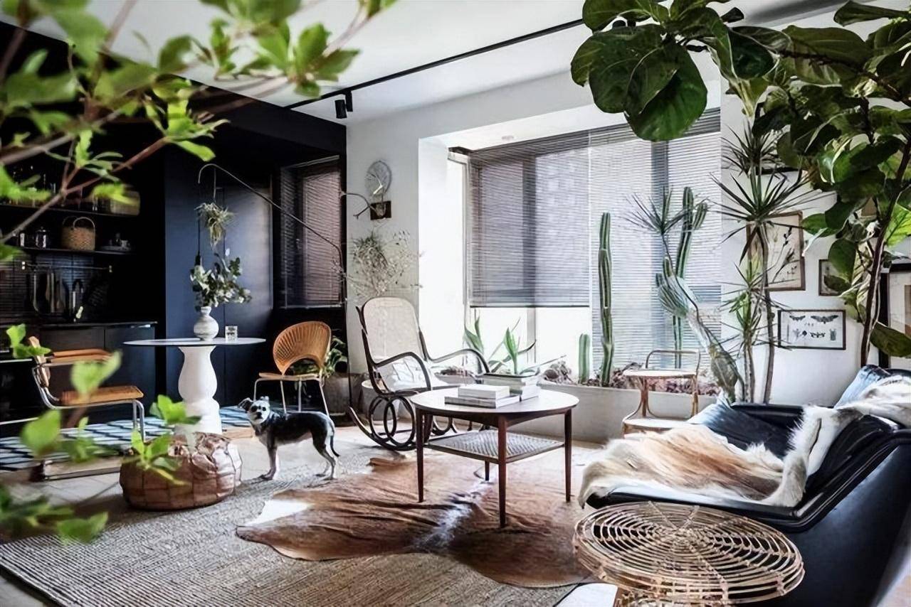 Nhà giàu thích trồng 3 cây cảnh này, đón phước lành, chiêu tài đắc lộc, làm việc gì cũng suôn sẻ - Ảnh 1.