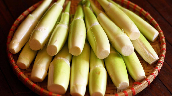 Loại củ hoang dã giờ thành đặc sản, được coi như "sâm nước" ai ăn cũng mê - Ảnh 1. Loại củ hoang dã giờ thành đặc sản, được coi như "sâm nước" ai ăn cũng mê - Ảnh 1.