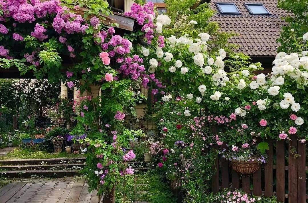 Có sân nhỏ, trồng 3 cây cảnh "thần hộ mệnh", trấn trạch, chiêu tài, con cháu thịnh vượng dài lâu - Ảnh 5.