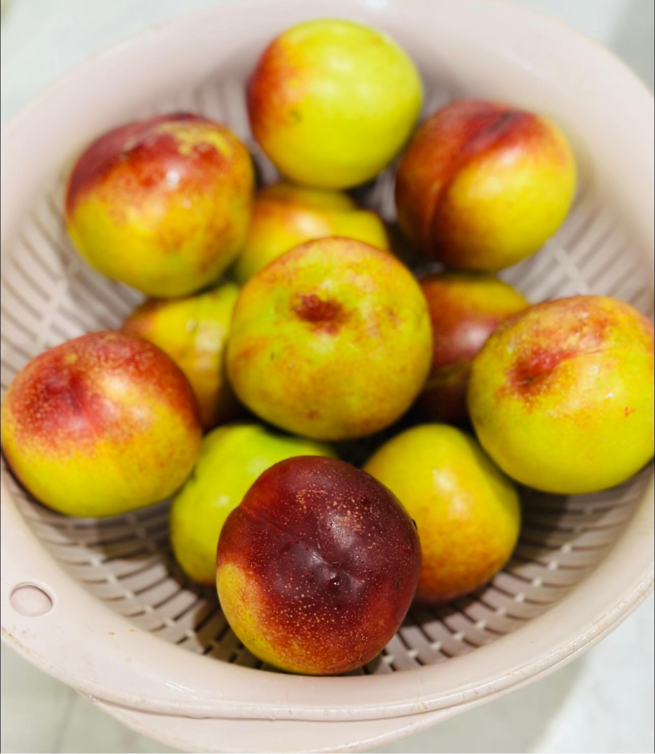 Loại quả giàu vitamin, chống cả ung thư, ngâm để pha trà vừa mát vừa tốt cho sức khỏe - Ảnh 1.