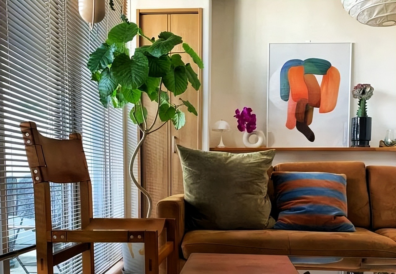 Mùa hè oi bức, trồng 5 cây cảnh lá to như quạt, lớn nhanh như thổi, mát rười rượi - Ảnh 2.