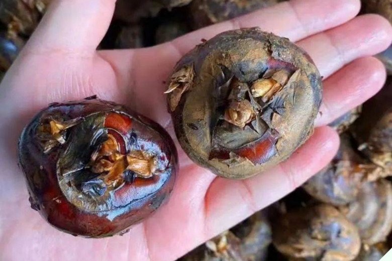 Nó vừa là rau vừa là củ, đừng ăn sống, mách bạn cách chế biến này cực ngon dinh dưỡng tăng gấp đôi - Ảnh 11.