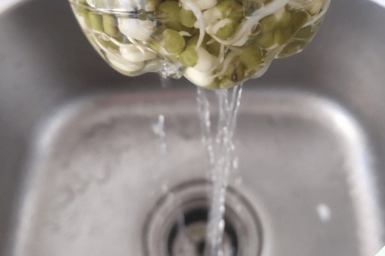 Loại rau thân trắng rất giàu đạm, giải nhiệt cực tốt, tự ủ 4 ngày là có ăn, cọng nào cũng vừa to vừa trắng - Ảnh 5.