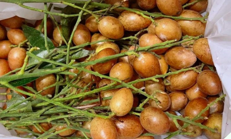 Quả bé tí tưởng vô dụng không ngờ là “vua trái cây mùa hè”, nấu chung với cá được món siêu ngon - Ảnh 11.