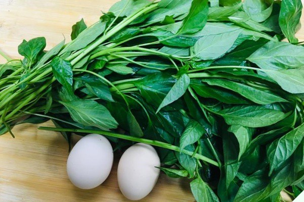 Lá này canxi gấp 2 lần sữa, nấu canh rất ngon, giúp bổ tỳ, tiêu sưng nhưng ít người biết ăn - Ảnh 2.