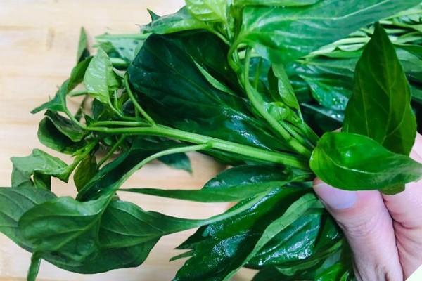 Lá này canxi gấp 2 lần sữa, nấu canh rất ngon, giúp bổ tỳ, tiêu sưng nhưng ít người biết ăn - Ảnh 1.