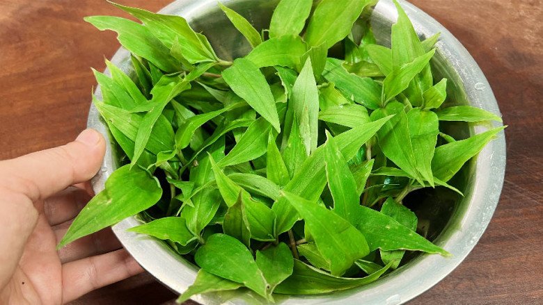 Loại cỏ dại mọc tua tủa sau mưa không ngờ là rau quý, nấu chung với con này rất ngon, không biết ăn quá tiếc - Ảnh 4.