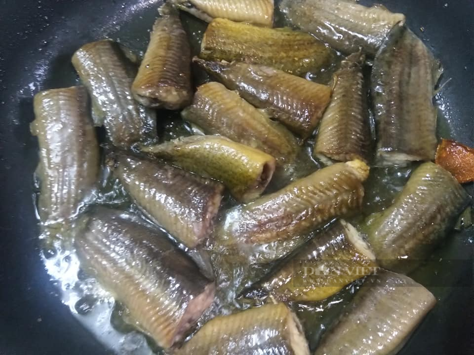 Thuộc họ nhà "lươn" đem nấu với thứ quả "non xanh chín vàng" thành món ăn vừa ngon vừa bổ dưỡng - Ảnh 4.