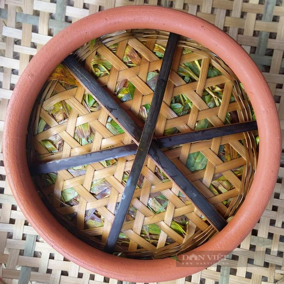 Loại rau mầm giúp cải thiện sinh lý cho đàn ông, ai cũng có thể tự trồng tại nhà theo cách này - Ảnh 6.