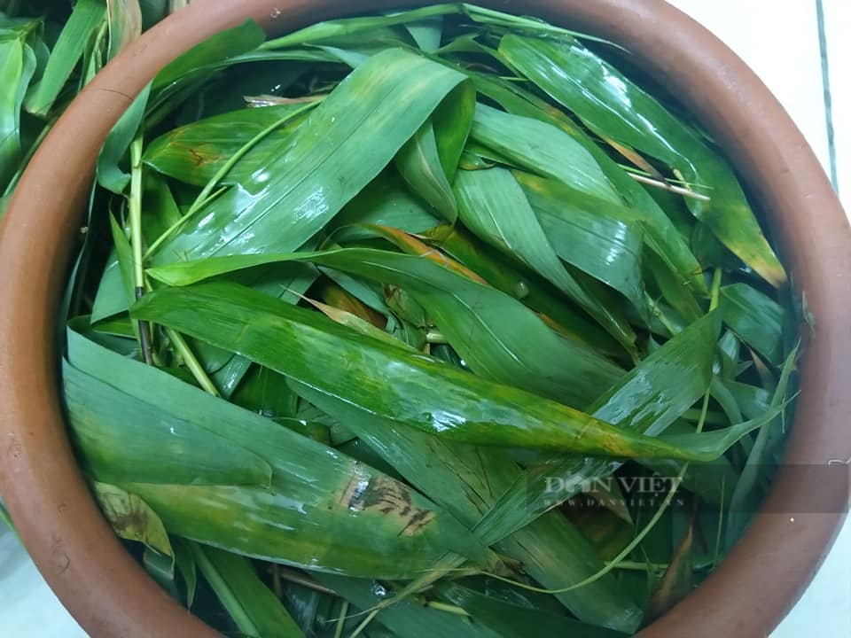 Loại rau mầm giúp cải thiện sinh lý cho đàn ông, ai cũng có thể tự trồng tại nhà theo cách này - Ảnh 5.