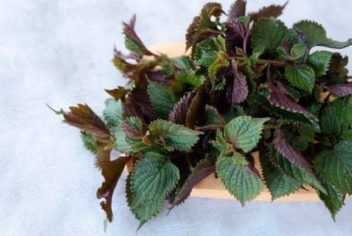 Loại rau thơm quen thuộc bán đầy chợ, ăn vào da đẹp mịn màng, hết trầm cảm - Ảnh 2.