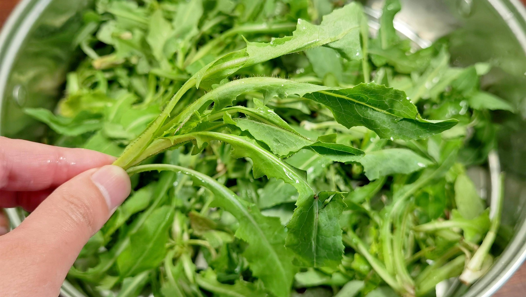 Mùa hè đừng coi thường loại rau dại này, thanh nhiệt, trừ thấp, dưỡng gan, giải độc, hấp bánh cực ngon - Ảnh 4. Mùa hè đừng coi thường loại rau dại này, thanh nhiệt, trừ thấp, dưỡng gan, giải độc, hấp bánh cực ngon - Ảnh 4.