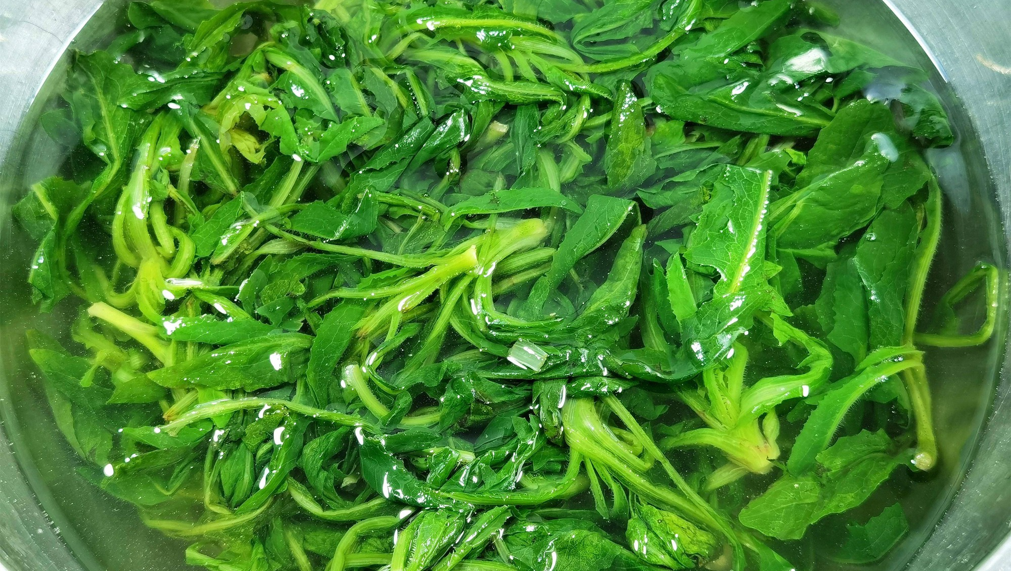 Mùa hè đừng coi thường loại rau dại này, thanh nhiệt, trừ thấp, dưỡng gan, giải độc, hấp bánh cực ngon - Ảnh 5. Mùa hè đừng coi thường loại rau dại này, thanh nhiệt, trừ thấp, dưỡng gan, giải độc, hấp bánh cực ngon - Ảnh 5.