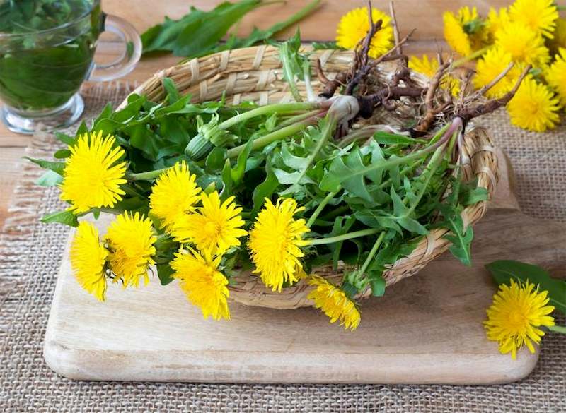 Mùa hè đừng coi thường loại rau dại này, thanh nhiệt, trừ thấp, dưỡng gan, giải độc, hấp bánh cực ngon - Ảnh 2. Mùa hè đừng coi thường loại rau dại này, thanh nhiệt, trừ thấp, dưỡng gan, giải độc, hấp bánh cực ngon - Ảnh 2.