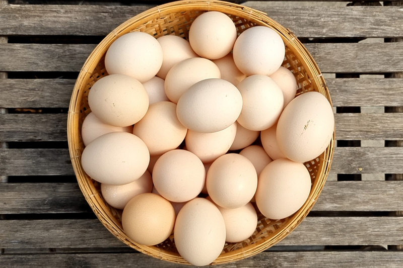 Loại thực phẩm rẻ tiền nhưng giàu protein, vitamin và khoáng chất, chế biến theo cách này vừa đẹp vừa ngon - Ảnh 1. Loại thực phẩm rẻ tiền nhưng giàu protein, vitamin và khoáng chất, chế biến theo cách này vừa đẹp vừa ngon - Ảnh 1.