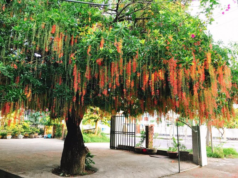 Đặt 3 vật này trước cửa để nghênh đón Thần Tài, nhà giàu đặc biệt thích cái thứ 3 - Ảnh 1. Đặt 3 vật này trước cửa để nghênh đón Thần Tài, nhà giàu đặc biệt thích cái thứ 3 - Ảnh 1.