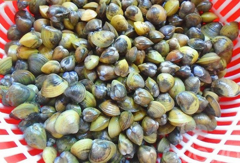 Loại động vật thân mềm dân dã, rẻ tiền, nấu canh thành món ngon bổ thận, cường dương, giải nhiệt mùa hè - Ảnh 1.